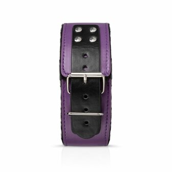 Secret Pleasure Chest X Bedroom fantasies - Purple Apprentice