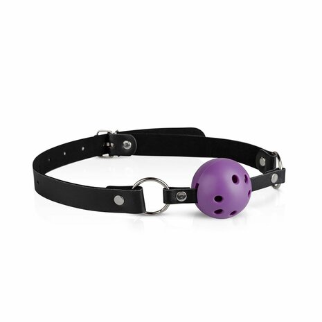 Secret Pleasure Chest X Bedroom fantasies - Purple Apprentice