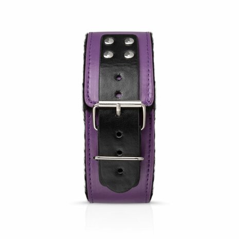 Secret Pleasure Chest X Bedroom fantasies - Purple Apprentice